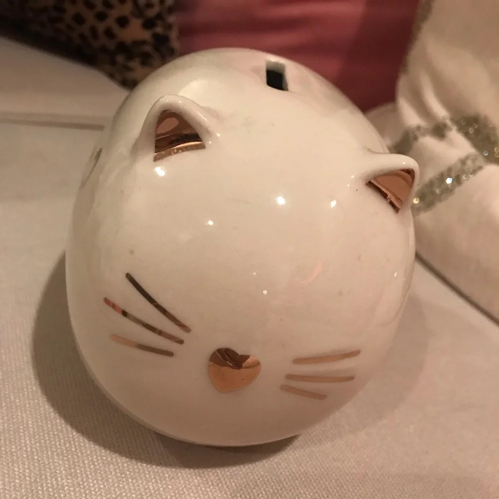 Ceramic Piggy Bank